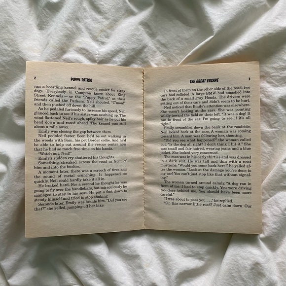 “The Great Escape” - Picture 5 of 5